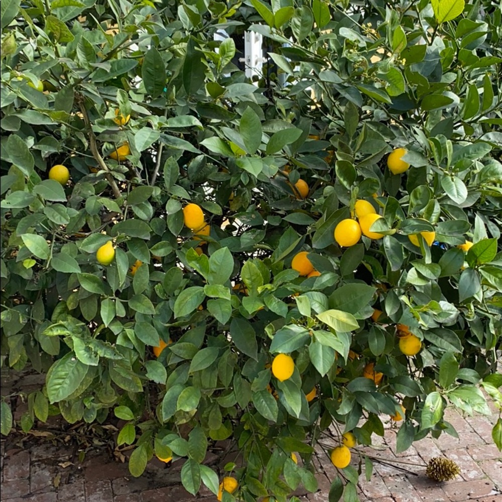 Meet your Posher, Bre